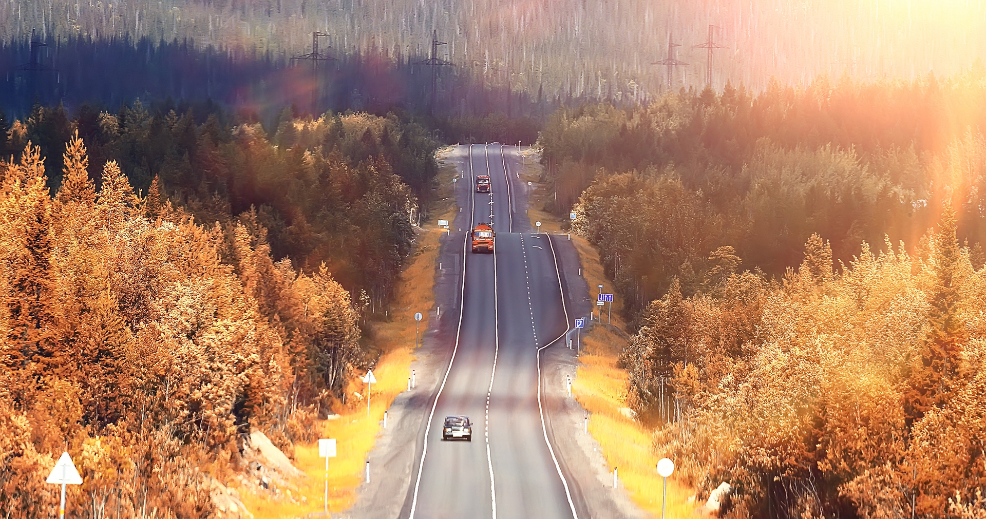 road during fall